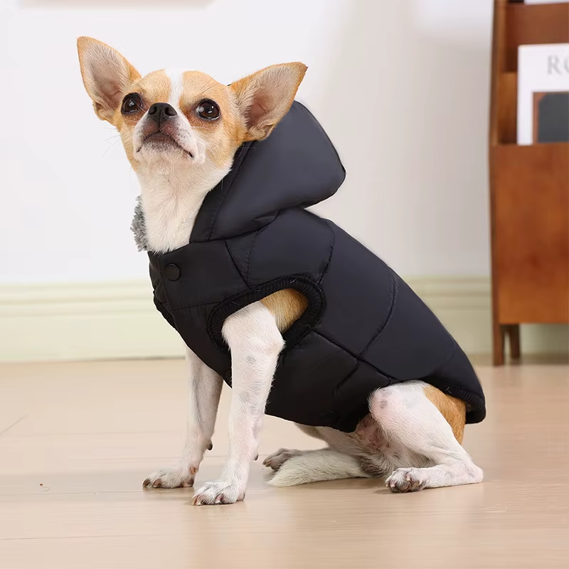 chaqueta de otoño e invierno para perros, chaqueta gruesa y cálida para mascotas, disfraz Parka gruesa y acogedor para perro salchicha