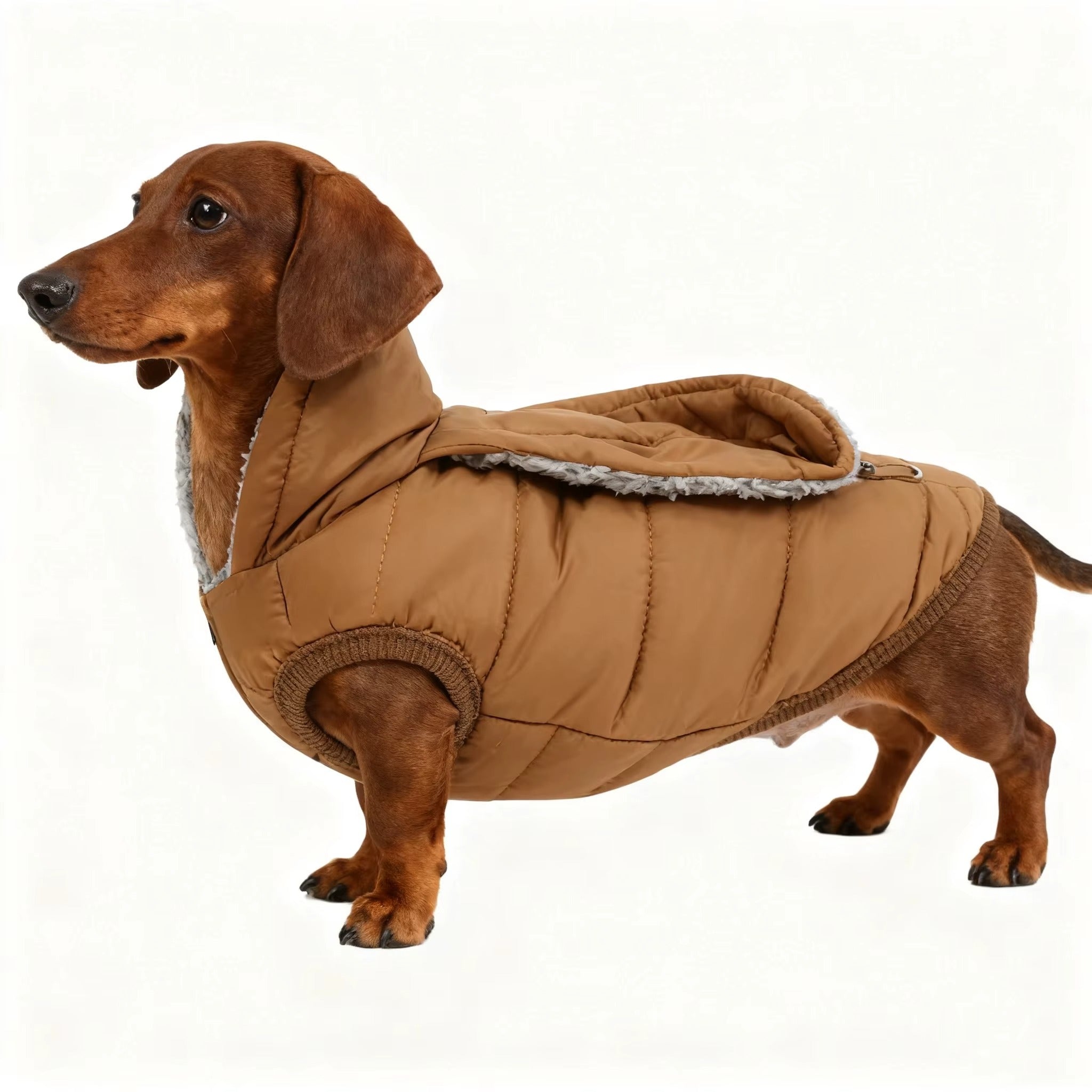 chaqueta de otoño e invierno para perros, chaqueta gruesa y cálida para mascotas, disfraz Parka gruesa y acogedor para perro salchicha